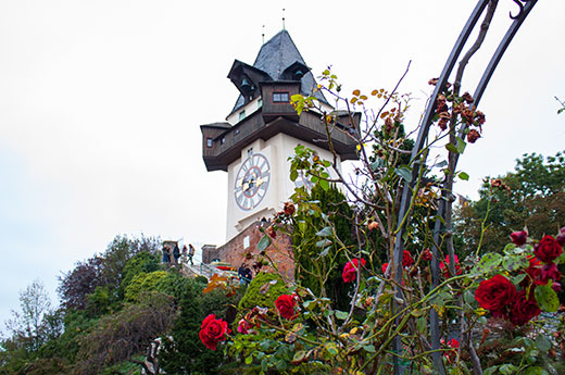 Rosen und oberhalb steht der Uhrturm