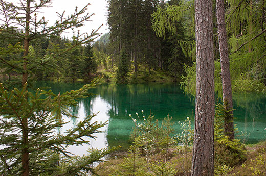 Blick durch die Bäume auf den Grünen See in Tragöß